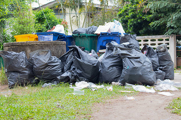 Best Office Junk Removal  in Eagan, MN